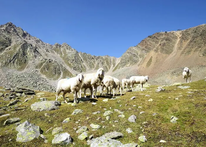 Appartamento Nadine-2 By Interhome Sölden